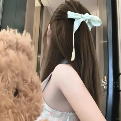 来自日本的机器狗